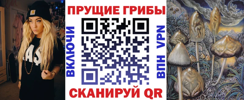 где можно купить   Новоаннинский  Галлюциногенные грибы GOLDEN TEACHER 